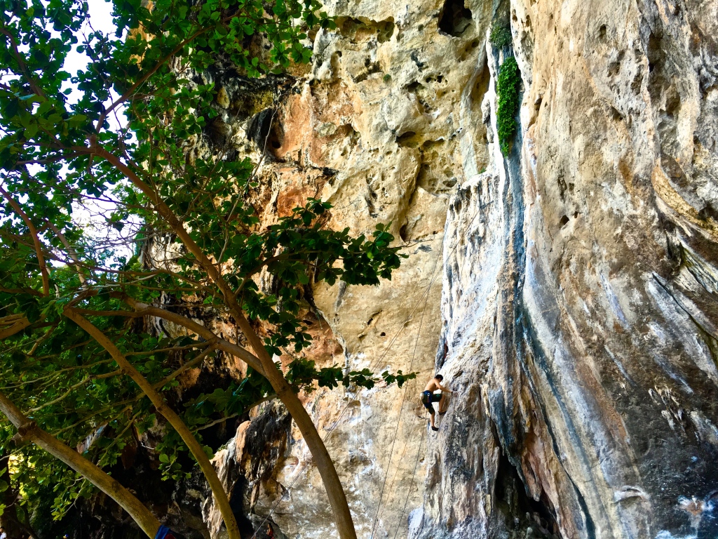 Rock climber in Krabi
