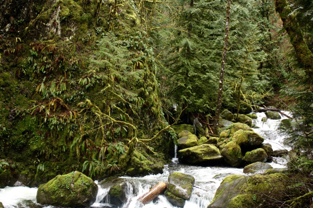 columbia river gorge