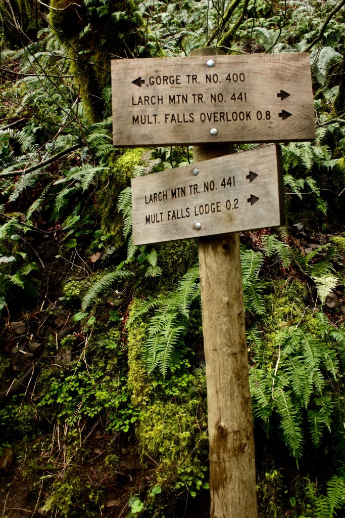 columbia river gorge oregon waterfall