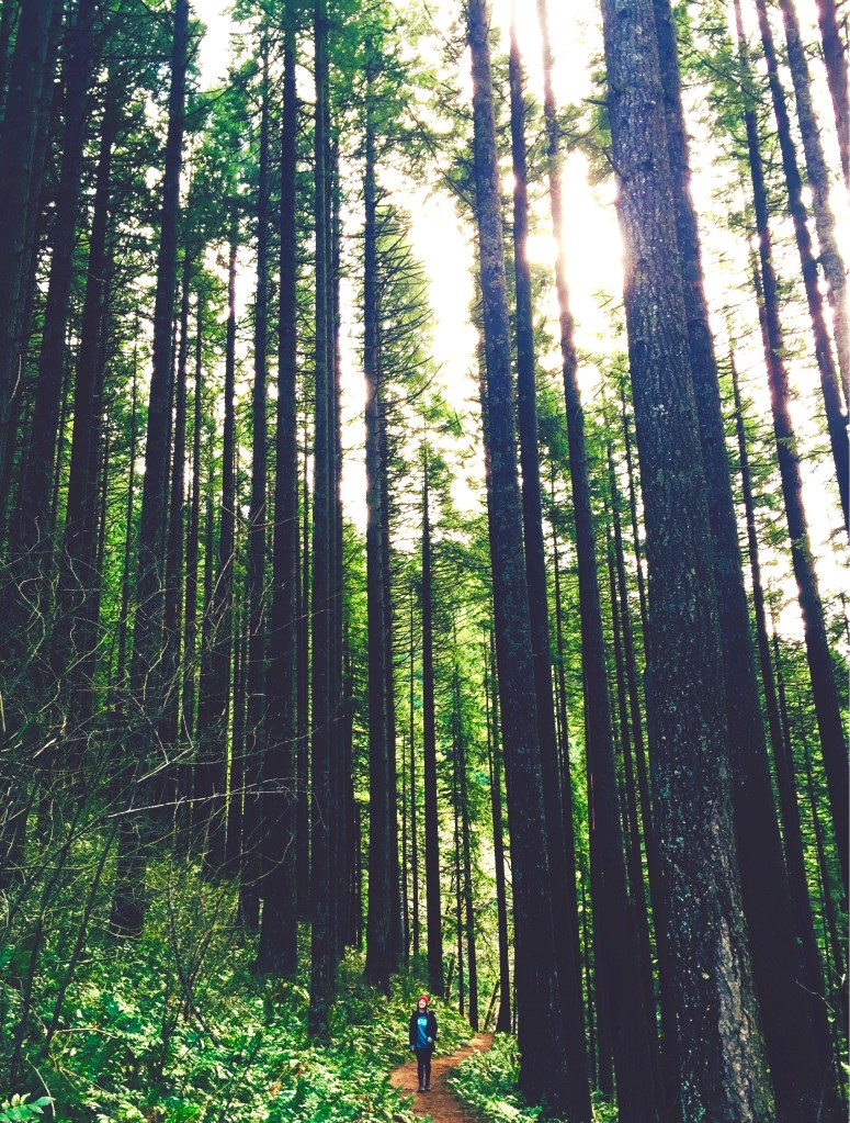 Thanks to guest blogger Marley, a student at Drew University, for sharing her travel tips on Oregon!