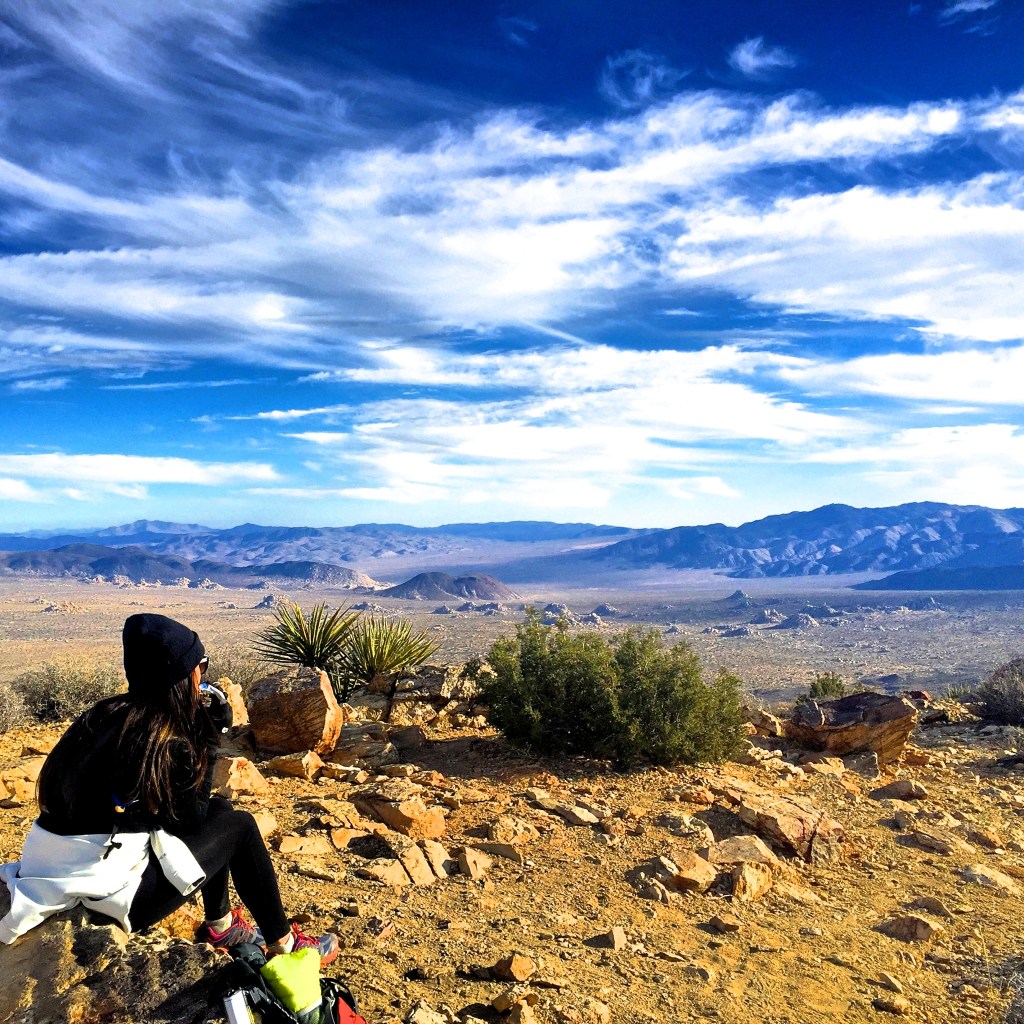 Thanks to Dr. Simi Singh for sharing her travel tips on Joshua Tree National Park!